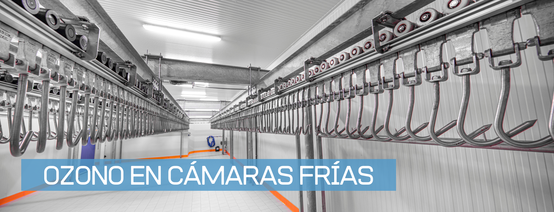 Ozono en Cámaras Frías