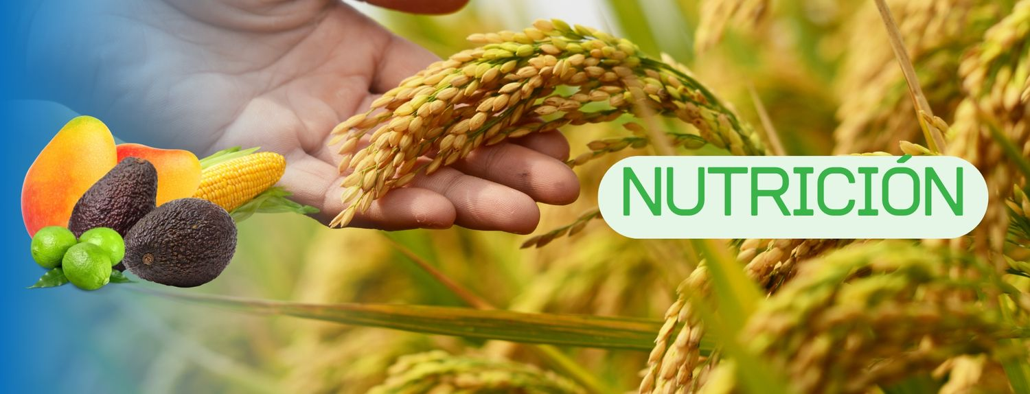 Nutrición