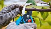 Accesorios para herramienta manual agrícola