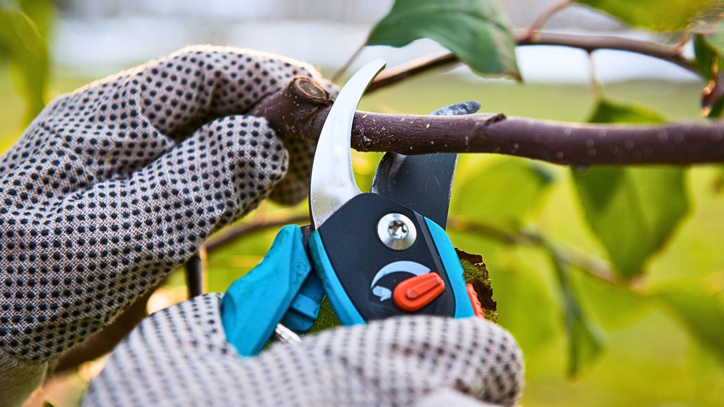 Accesorios para herramienta manual agrícola