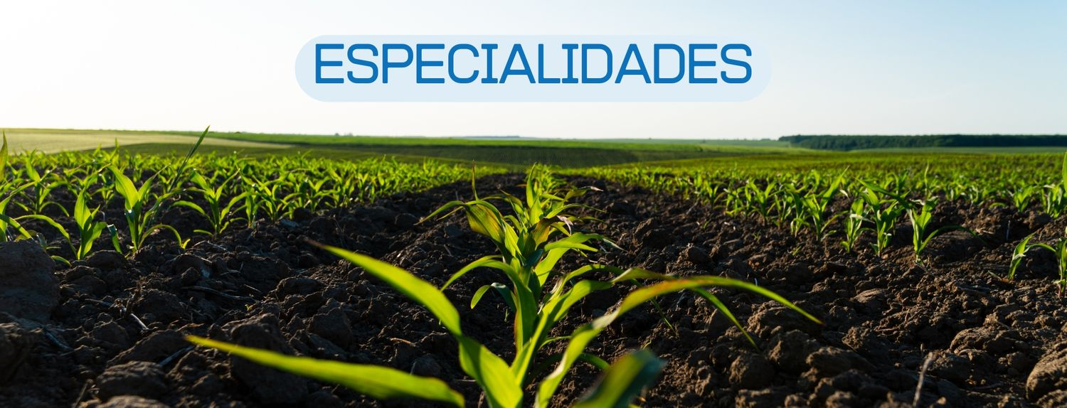 Especialidades
