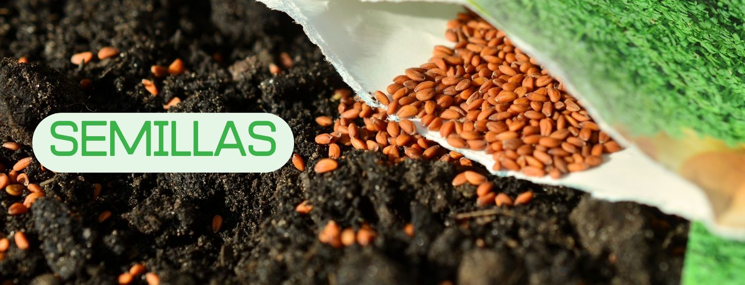 Semillas