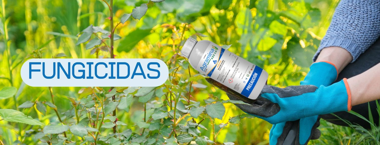Fungicidas