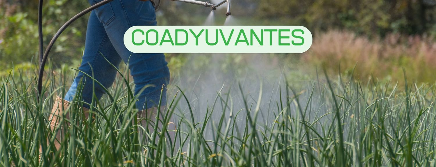 Coadyuvantes