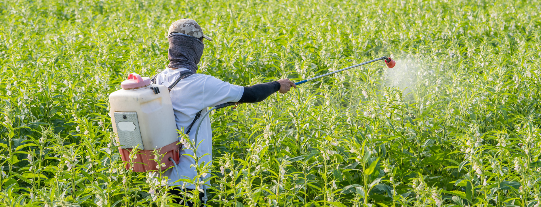Mangueras para Fumigadoras Eléctricas