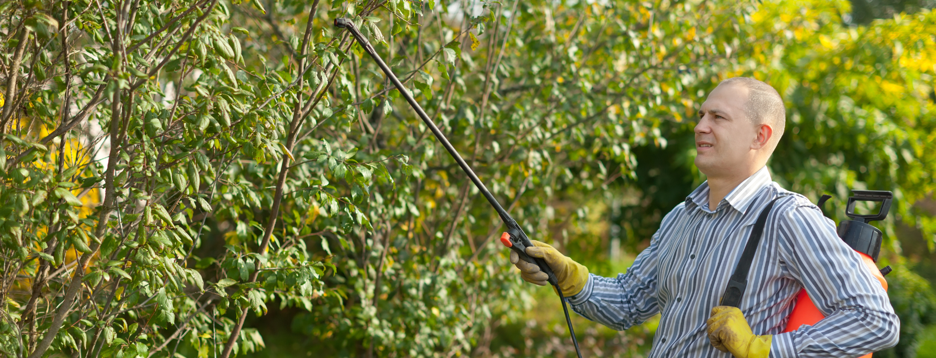 Manijas para Fumigadoras Manuales