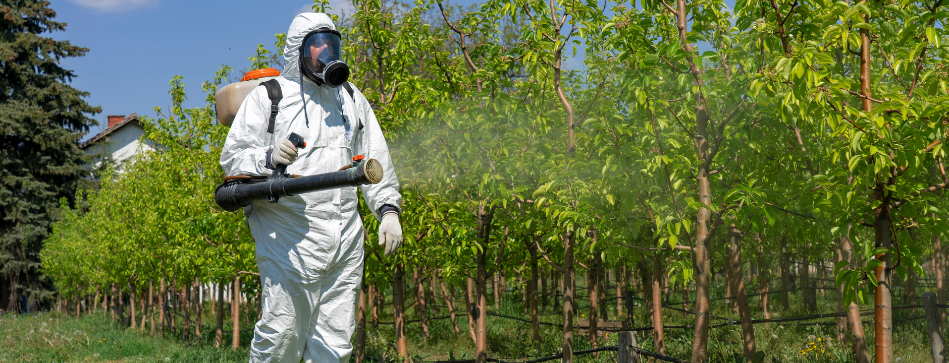 Válvulas para Fumigadoras Motorizadas