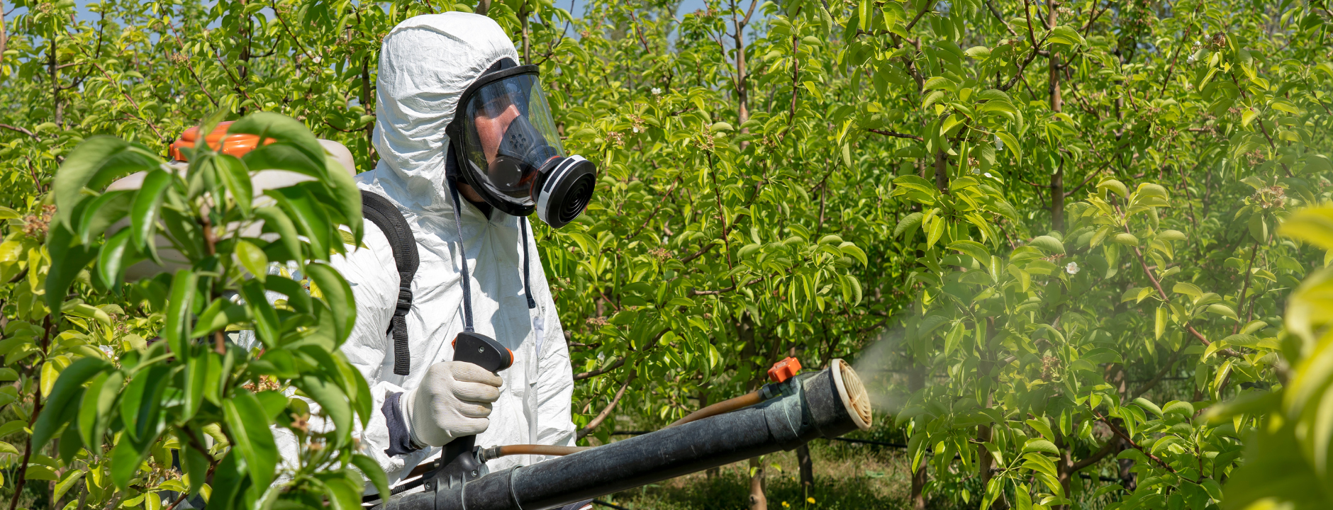 Aspersores para Sólidos y Líquidos - Equipos