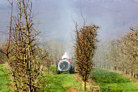 Aguilones - Parihuelas - Turbina