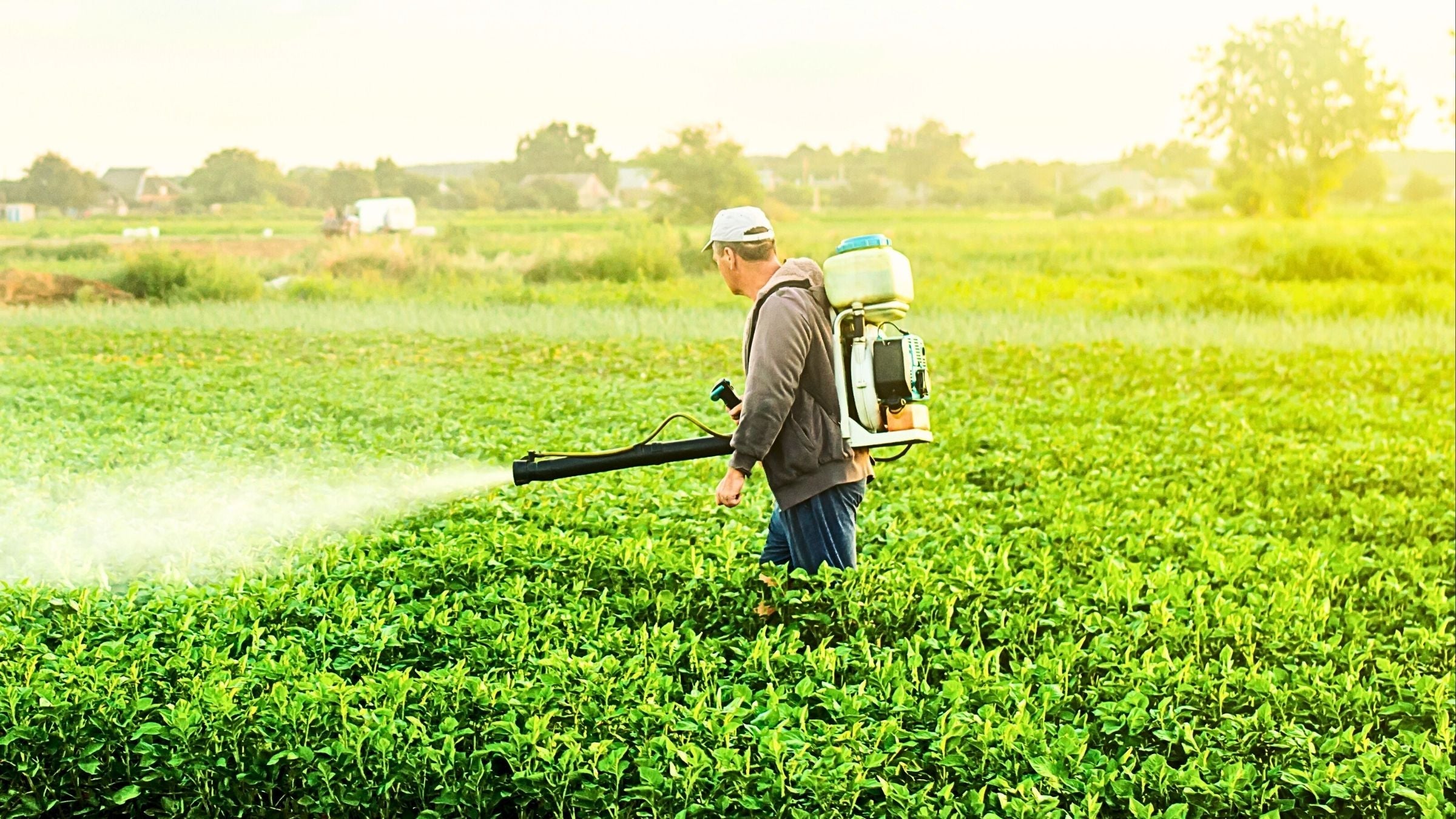 Aspersores para Sólidos y Líquidos