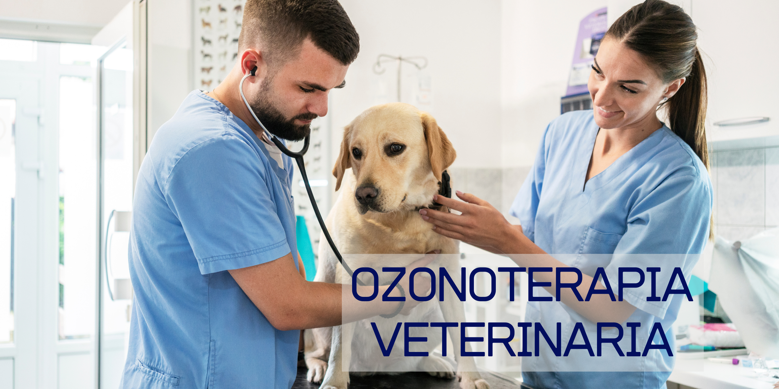 Ozonoterapia Veterinaria