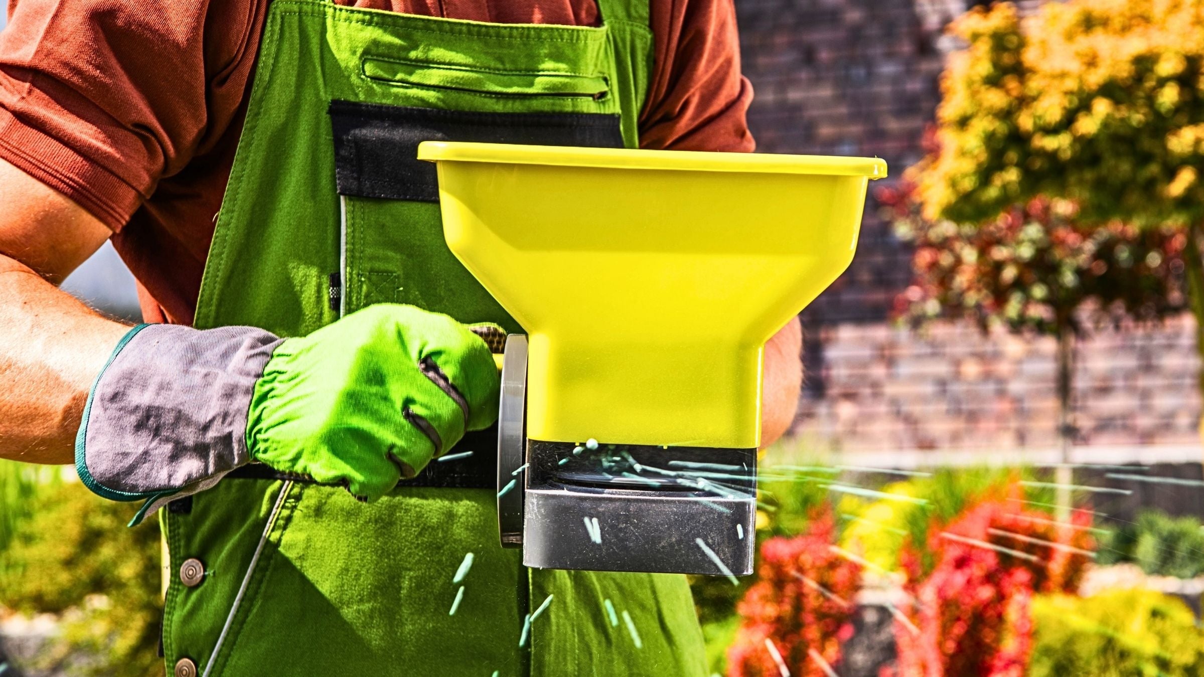 Dispensador de Granos