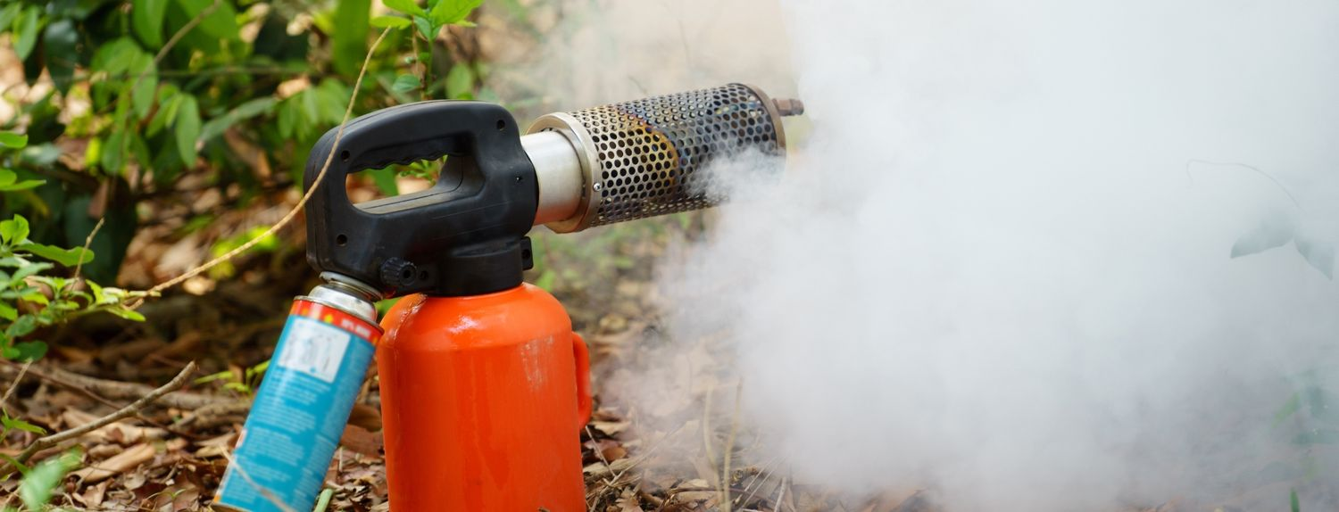 Mini Fogger Spraying Machine