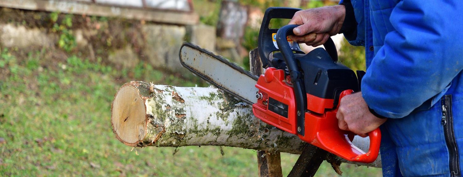 motosierra para labores forestales y agrícolas
