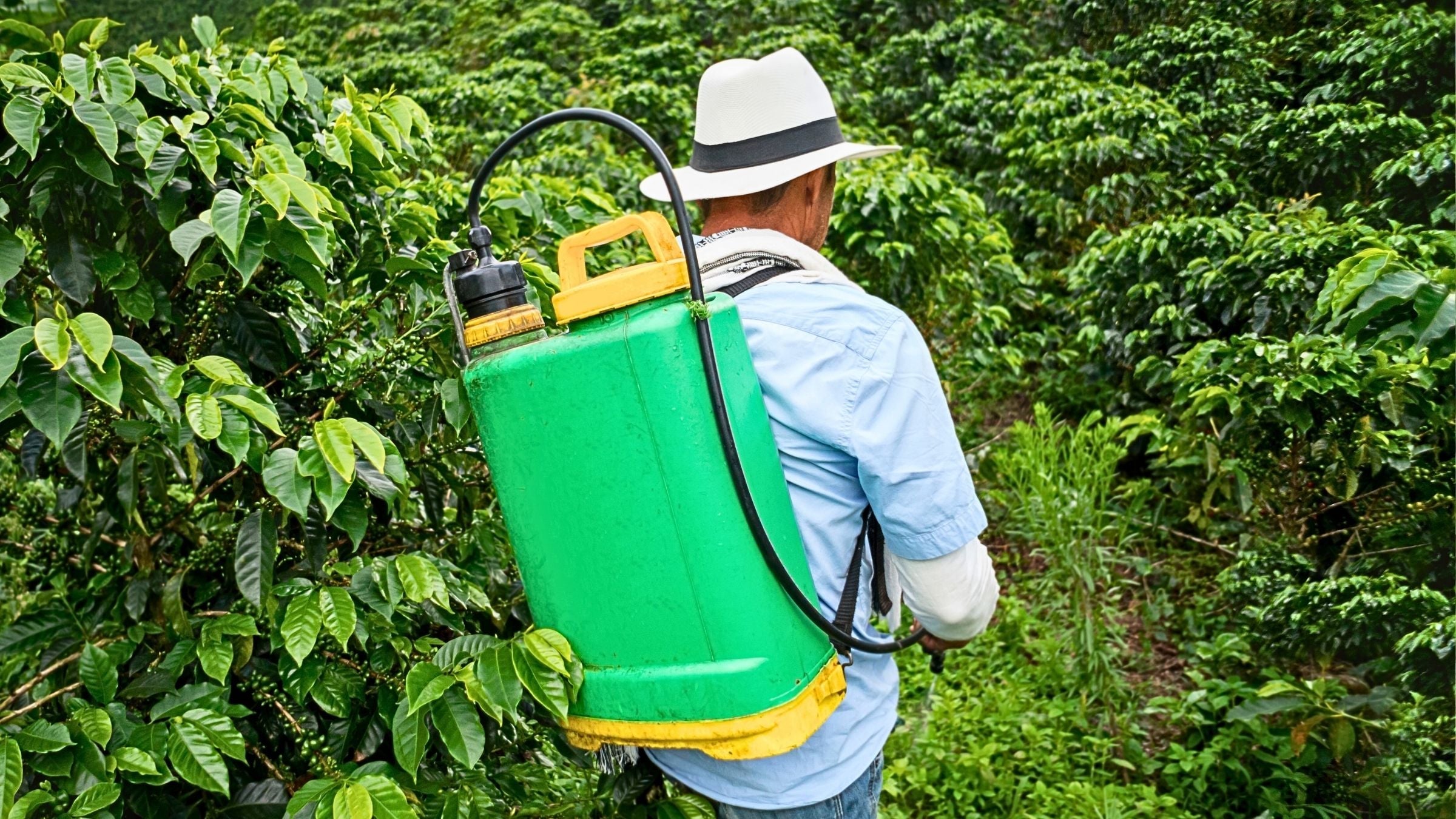 Fumigadoras Eléctricas