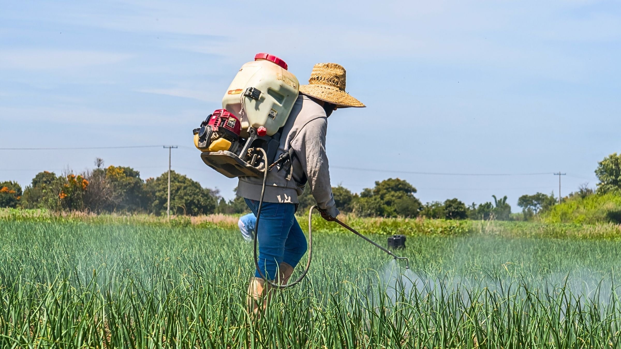 Fumigadoras Motorizadas 4 Tiempos
