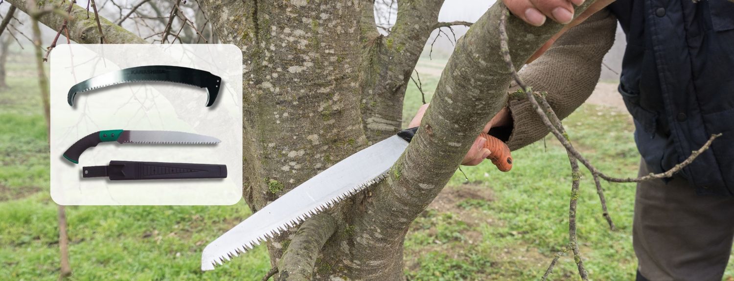 Serruchos y sierras de poda
