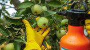 Insecticidas