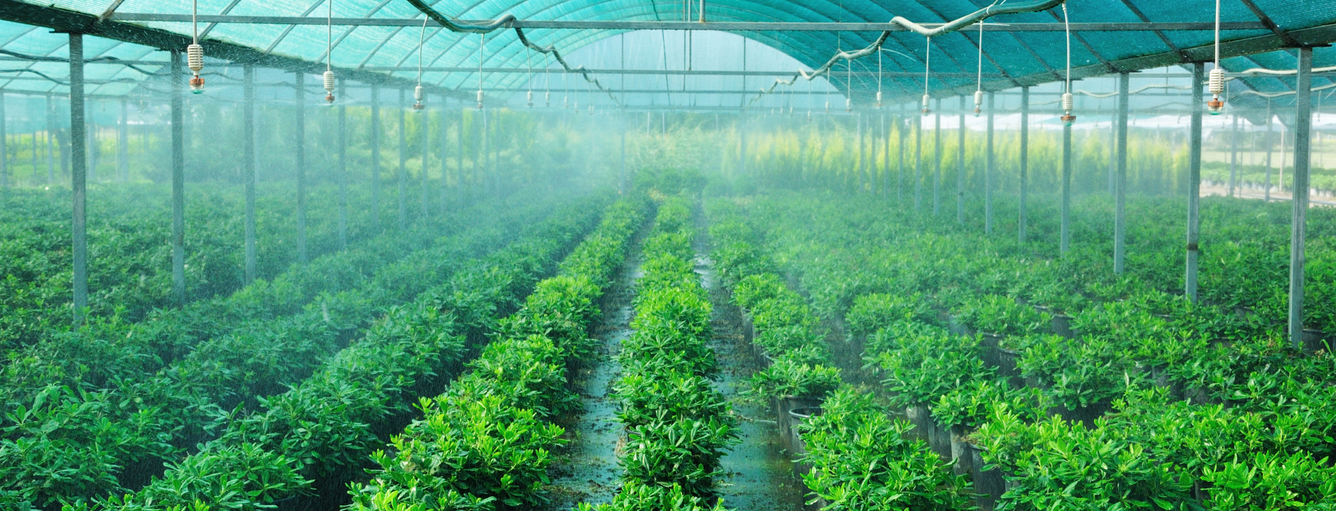Equipos de Ozono para Riego Agrícola