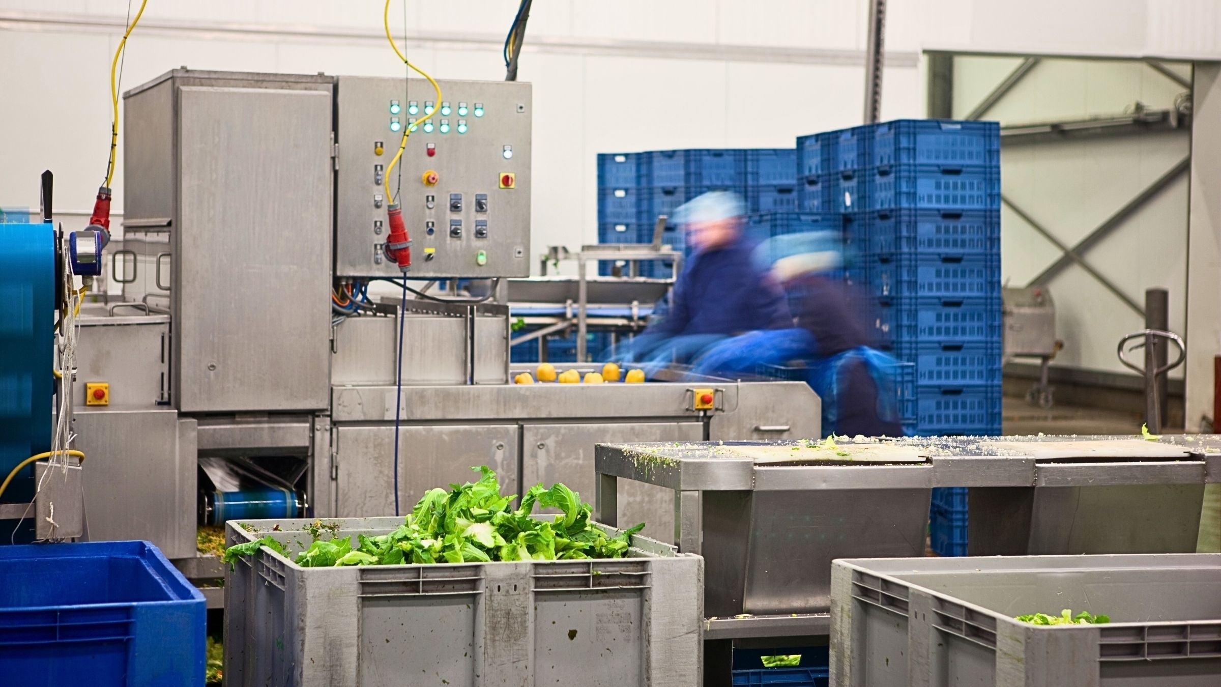 Ozono - Equipos para Industria Alimenticia