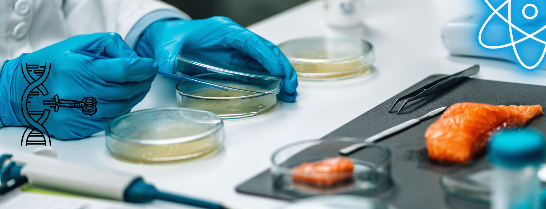 Pruebas Microbiologicas