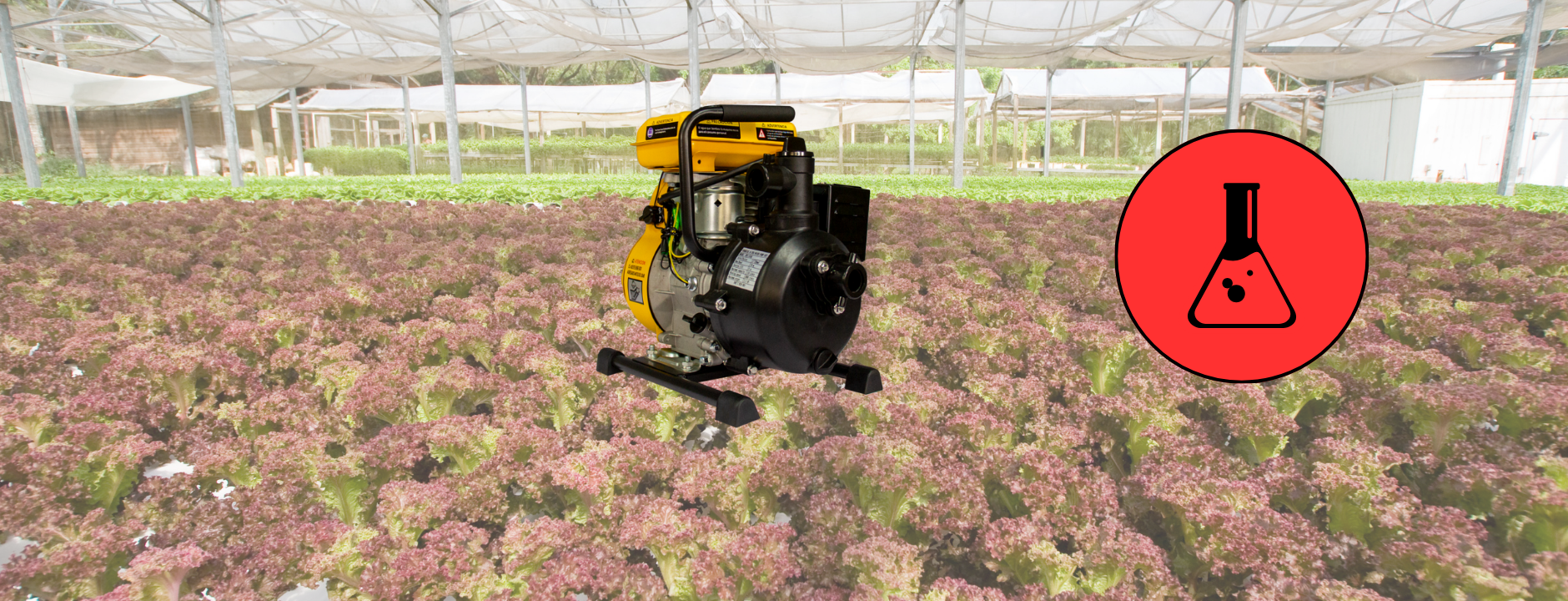 Motobombas para Químicos