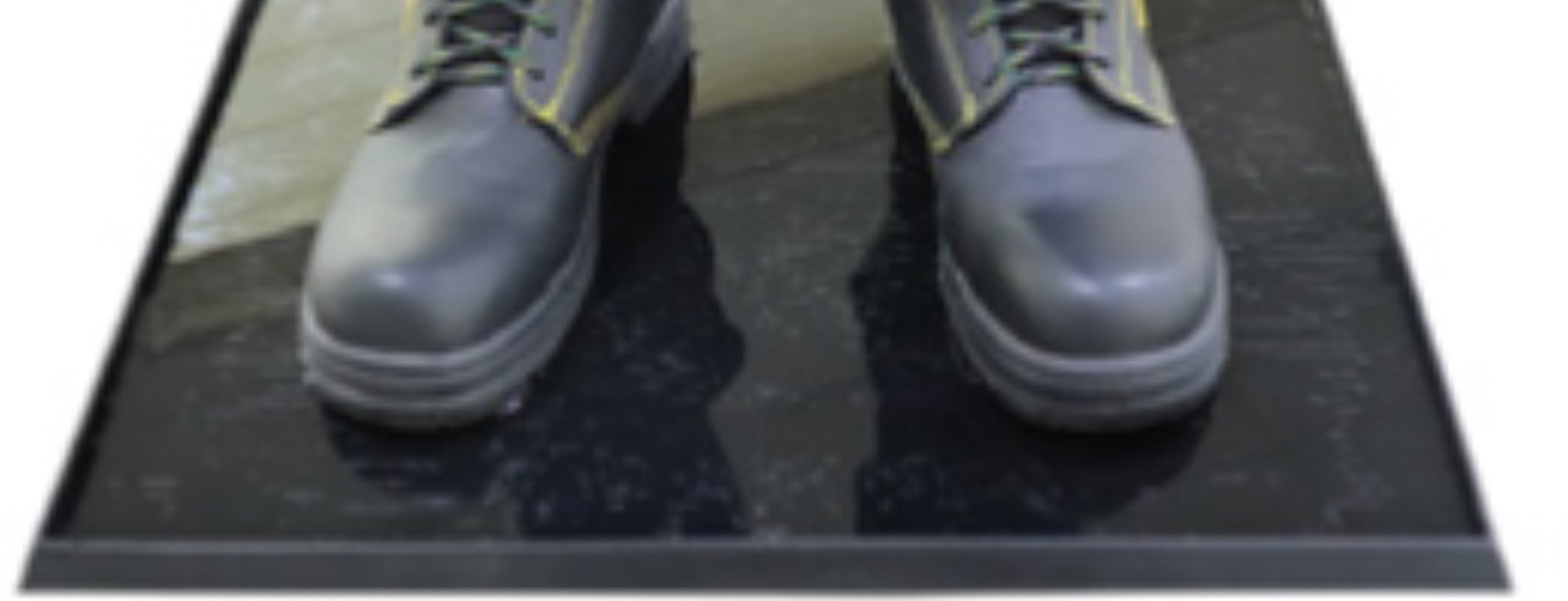 Tapetes Sanitizantes