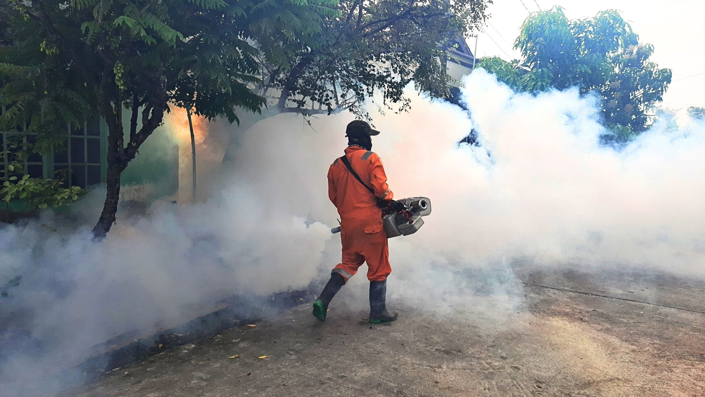 Vehículo para Termonebulizar