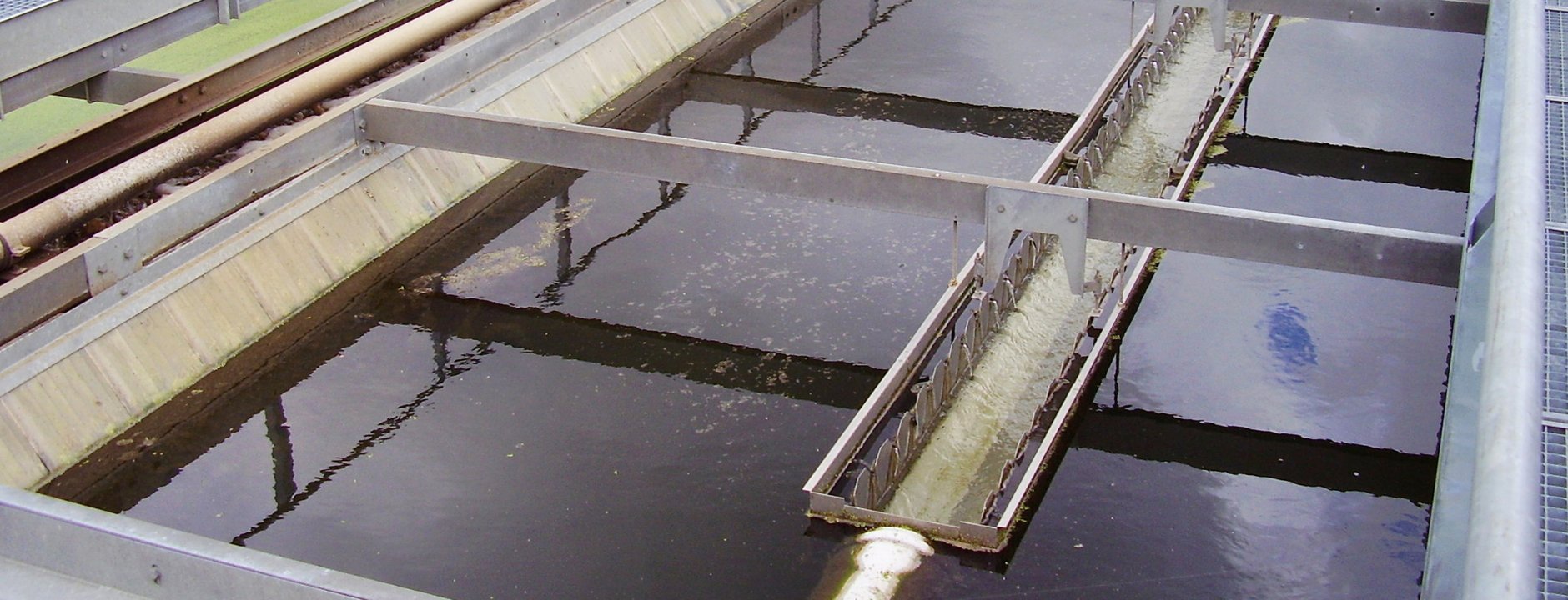 Bacterias y Enzimas para Aguas Residuales
