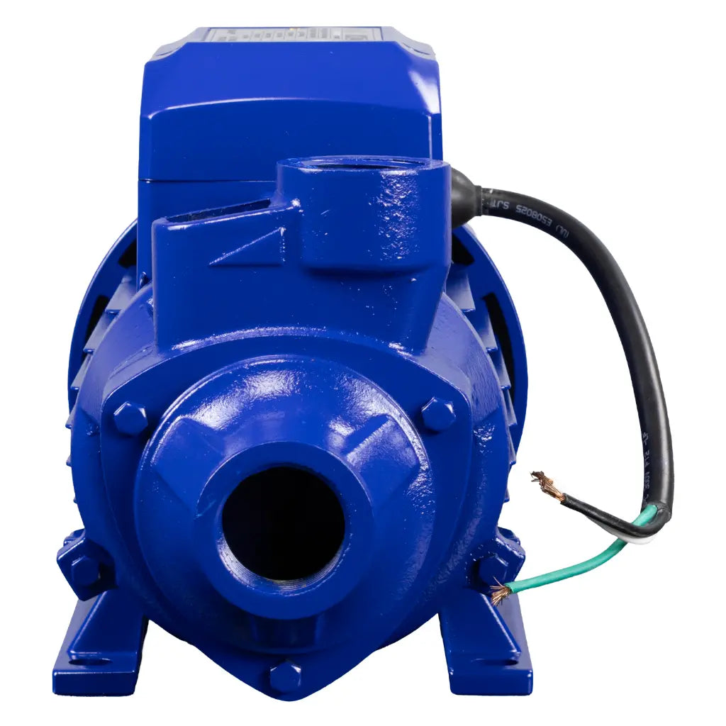 Bomba de agua eléctrica 1 hp Power Hunt BPH165 - Bioaplicaciones