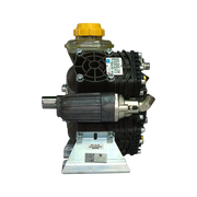 Bomba PPS 100 VP Bertolini 365003973