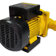 Bomba eléctrica para agua limpia 600 W Parazzini BEP600 - Bioaplicaciones