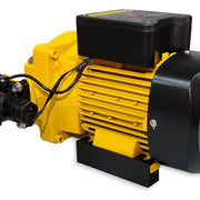 Bomba eléctrica para agua limpia 600 W Parazzini BEP600 - Bioaplicaciones
