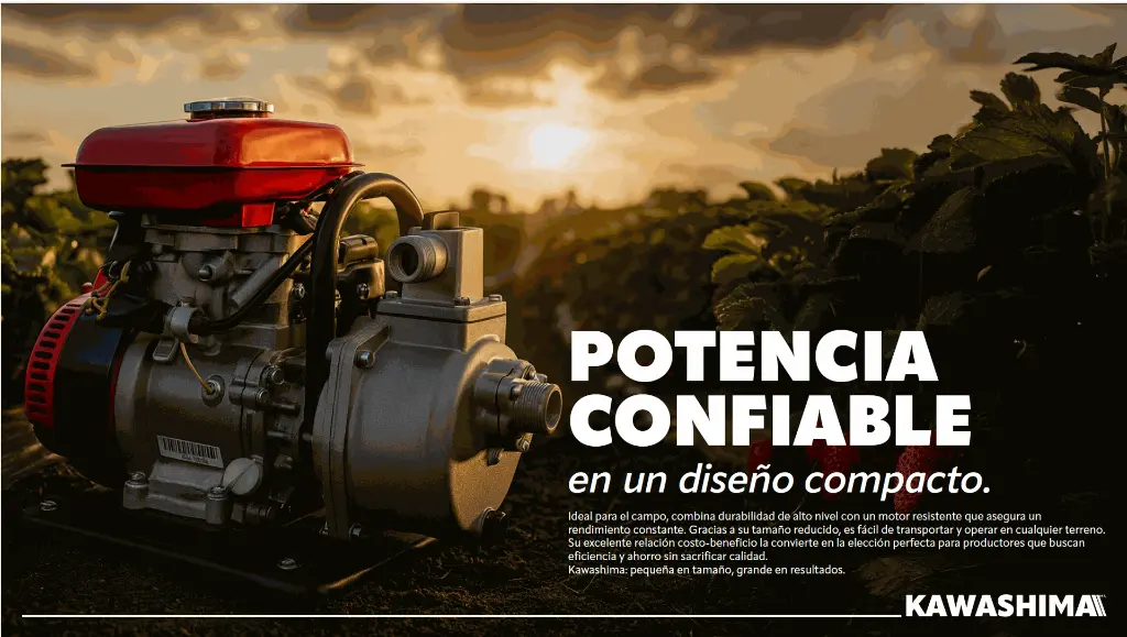 Bomba portátil 1" 3 HP aluminio 15 m 12 m³/h Kawashima BK2.510 - Bioaplicaciones