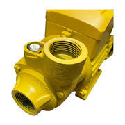 Bomba de agua eléctrica 1 hp Parazzini BPP165 - Bioaplicaciones