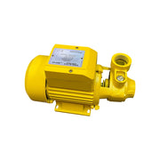 Bomba de agua eléctrica 1 hp Parazzini BPP165 - Bioaplicaciones