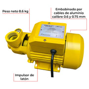 Bomba de agua eléctrica 1 hp Parazzini BPP165 - Bioaplicaciones