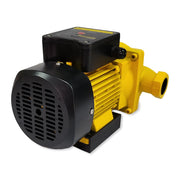 Bomba eléctrica para agua limpia 600 W Parazzini BEP600 - Bioaplicaciones
