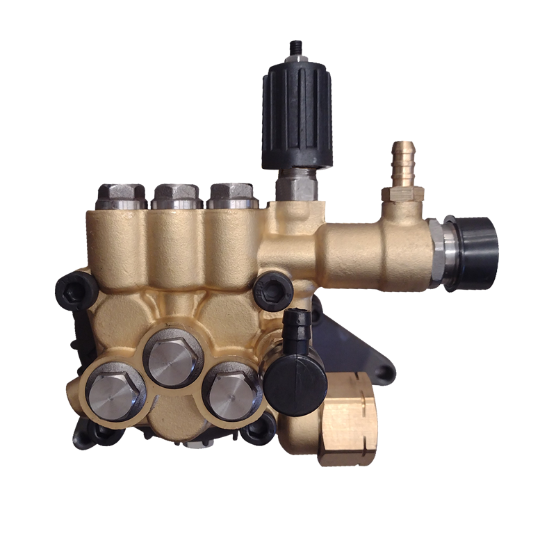 Bomba hidrolavadora vertical cabeza bronce Parazzini Pro BPPV