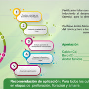 CaB-Inn Corrector de deficiencias (Calcio-boro)1L