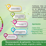 CALCIAMINN Corrector de deficiencias (Calcio-aminoácidos) 1L