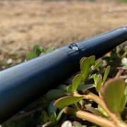 Cinta BlueDrip 5/8" calibre 5 mil (0.125 mm espesor) 0.8 lph @20 cm (0.8 bar) - rollo de 3660 m Golden Tree BL125-80-20-3660 - Bioaplicaciones