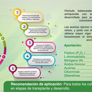 ENRAIZANNUT Bioestimulante agrícola (Enraizador) 1 L