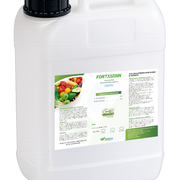 Fortaminn Bioestimulante agrícola (Aminoácidos) - 1 L
