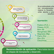 Florannut Corrector de deficiencias (para Floración) - 1 L