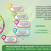 Fortaminn Bioestimulante agrícola (Aminoácidos) - 1 L