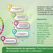 Fortinnut Corrector de deficiencias (para Desarrollo) - 1 L