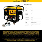 Generador 22hp encendido electrico 12000 W Parazzini GP12000 - Bioaplicaciones