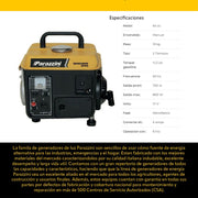 Generador 64 cc 2 tiempos 950 W Parazzini GP950 - Bioaplicaciones