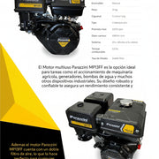 Motor 13 hp 4 tiempos con doble filtro de aire Parazzini MP13FF